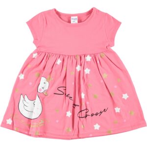 GIRL PINK SWAN DRESS